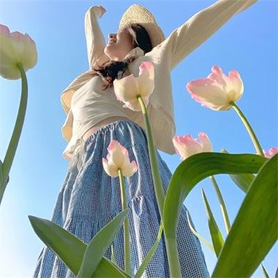 披荆斩棘第五季